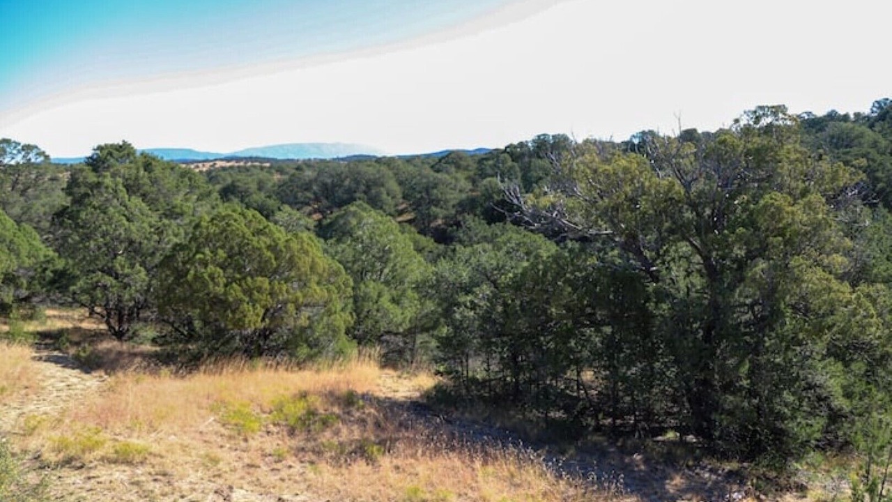 Photo of Outdoor in Nogal