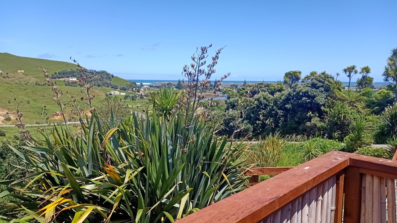 Photo of Outdoor in Marokopa