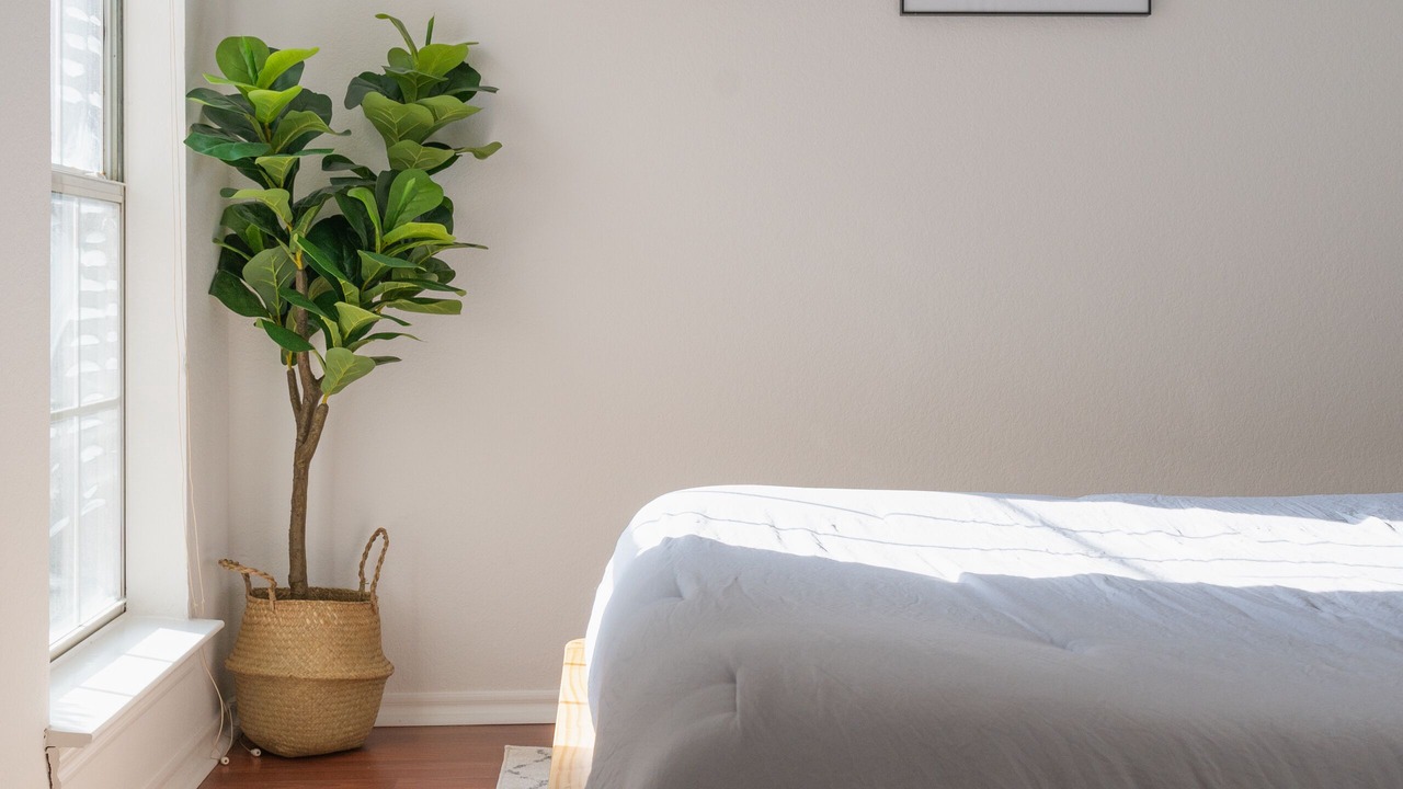 Photo of Bedroom in Original Town