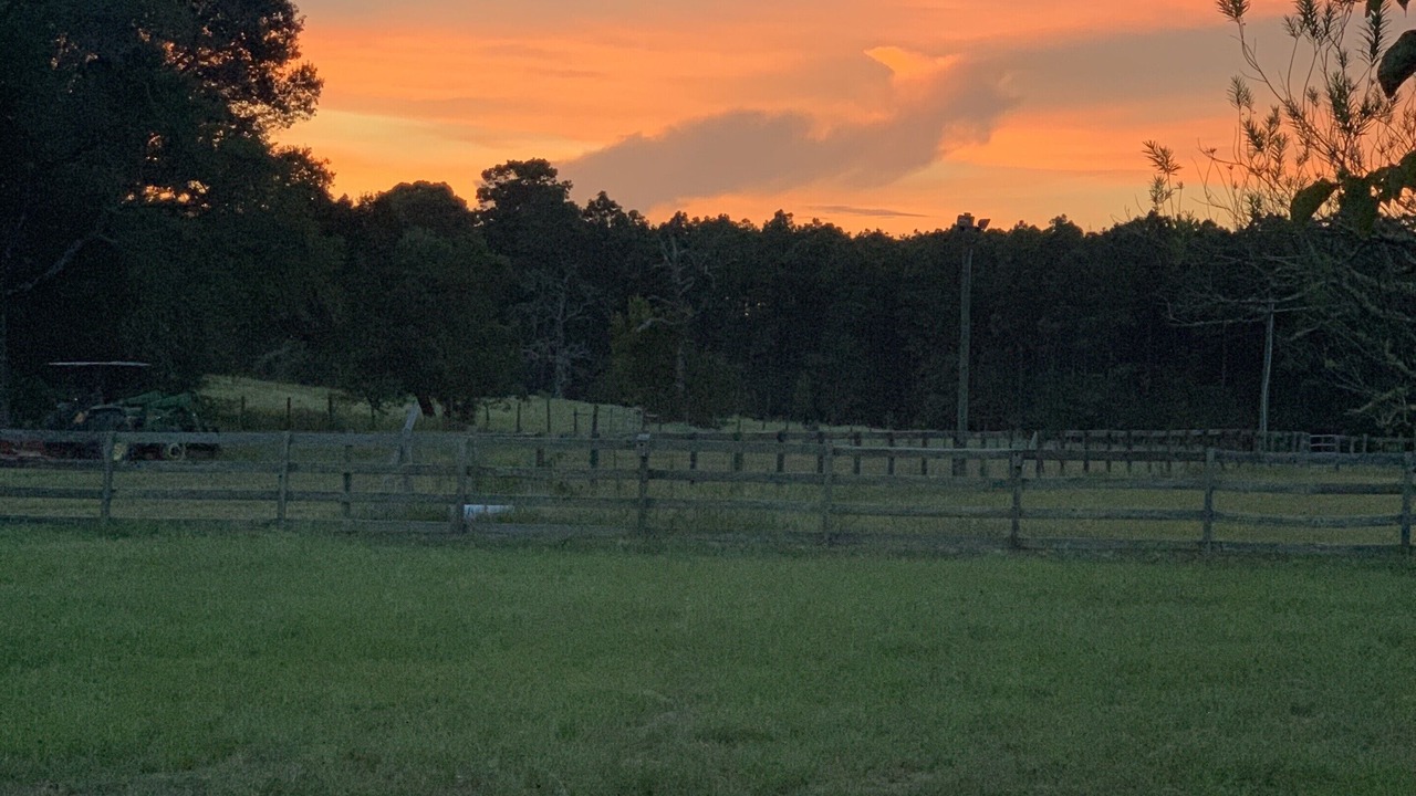 Photo of Outdoor in Navasota