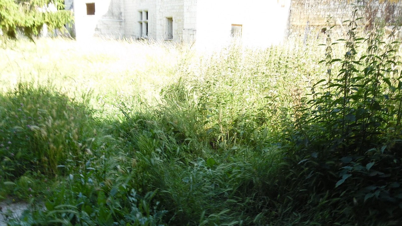 Photo of Outdoor in Courchamps