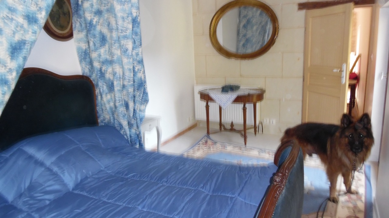 Photo of Bedroom in Courchamps