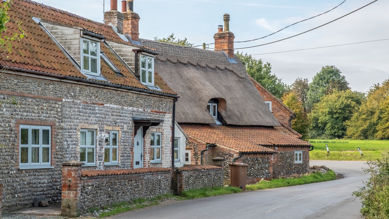 Photo of Others in Holt