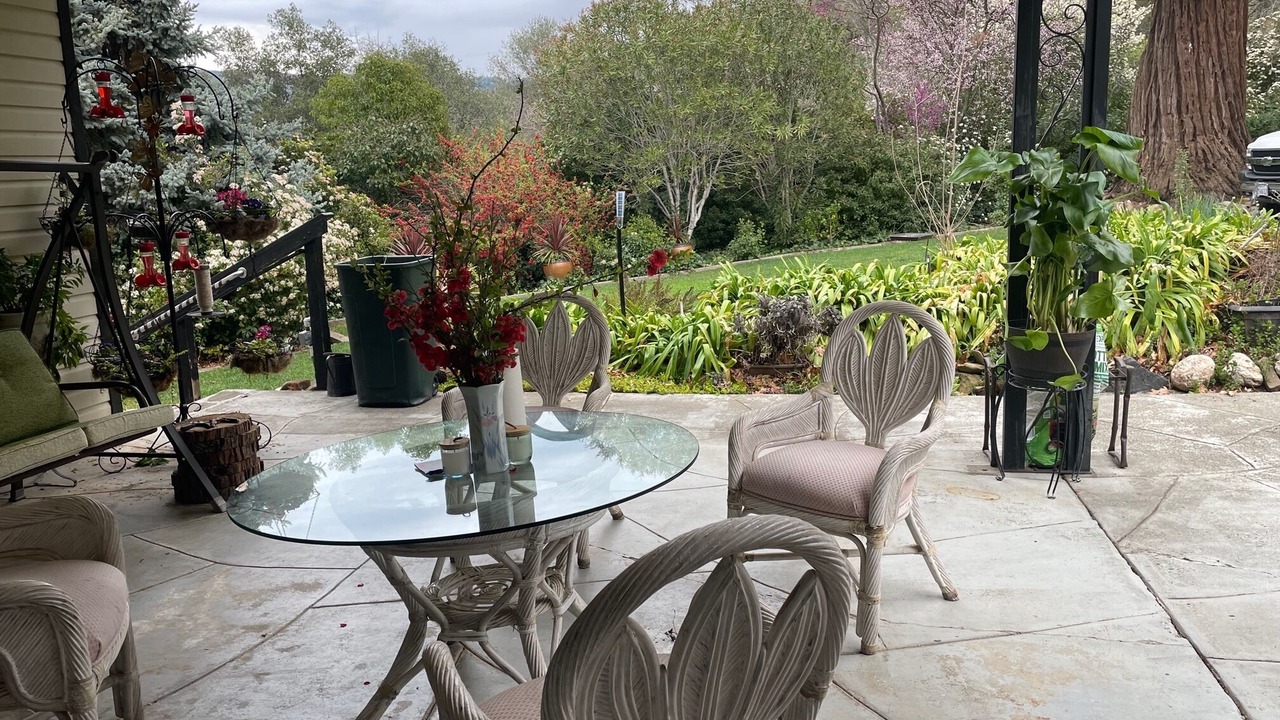 Photo of Outdoor in Nut Tree