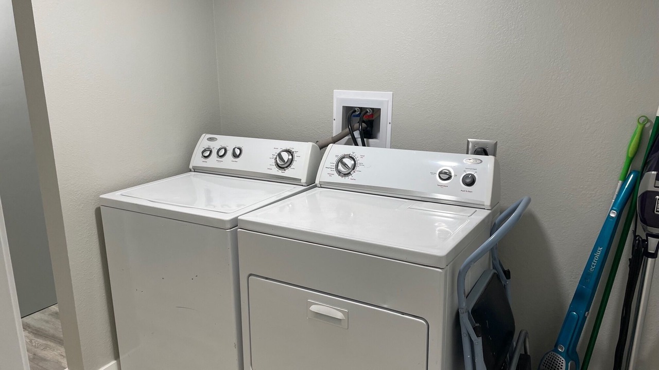 Photo of Others in Nut Tree