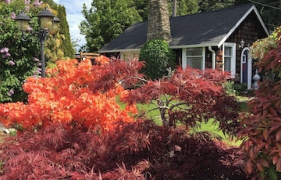 Photo of Outdoor in Port Angeles