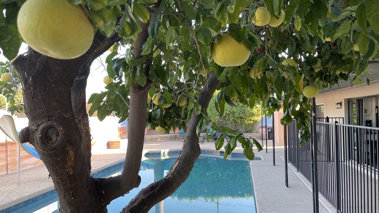 Photo of Others in Desert Foothills Estates