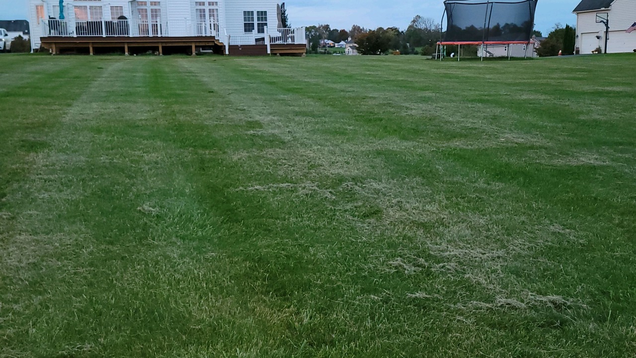 Photo of Outdoor in Dover
