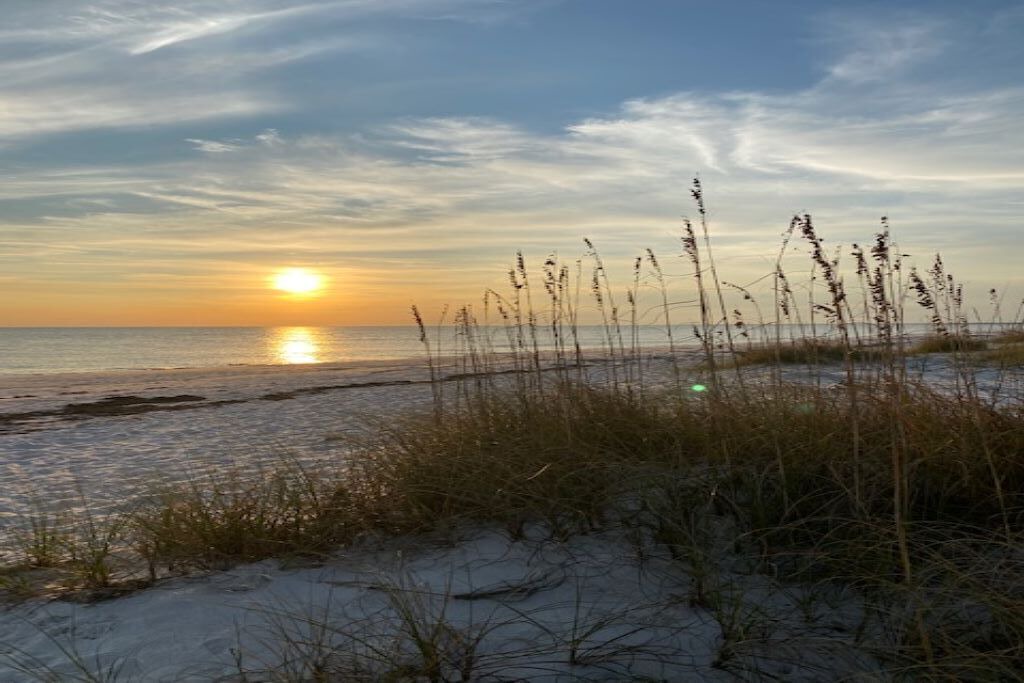 Photo of Others in Alligator Point