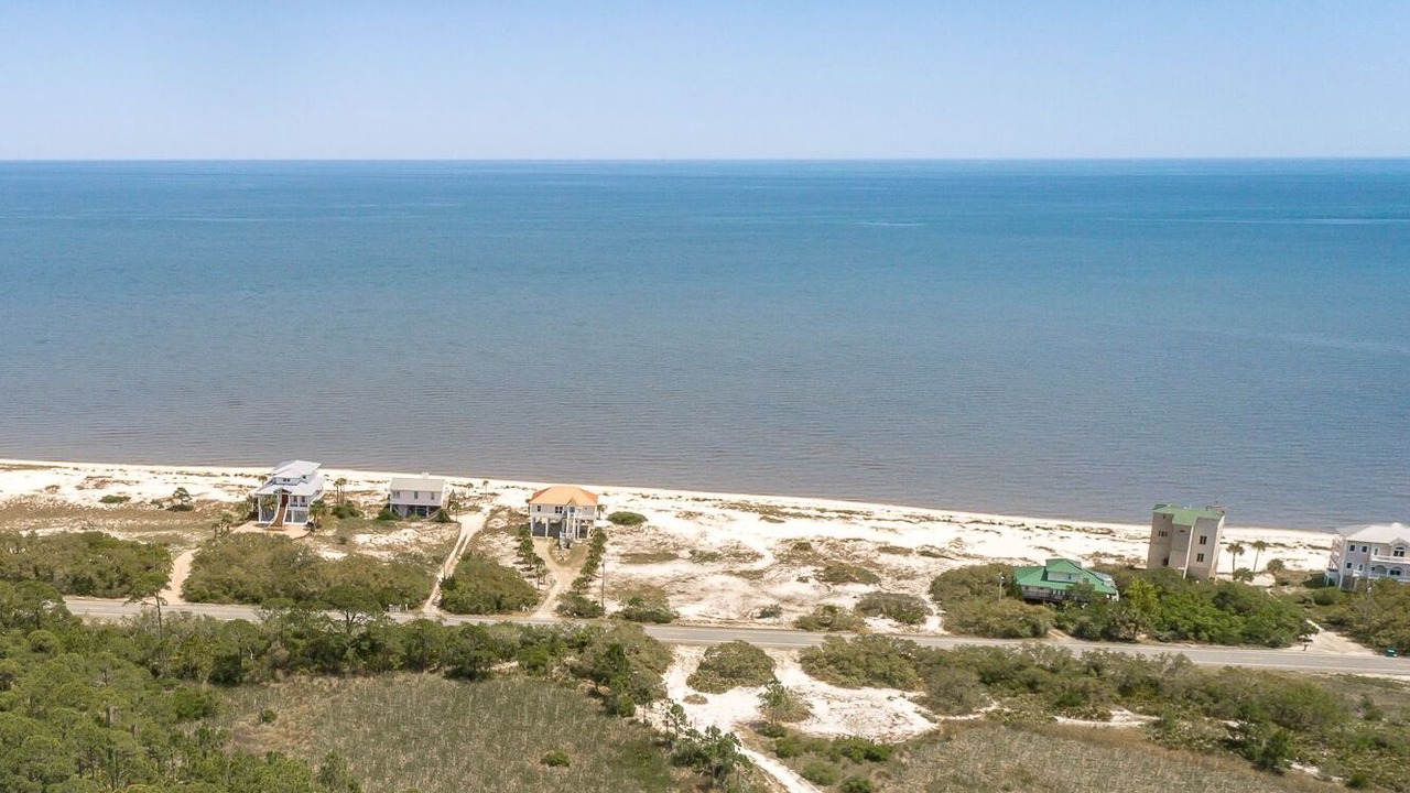 Photo of Outdoor in Alligator Point