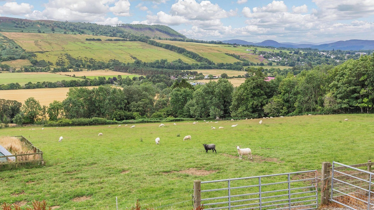 Photo of Others in Heights of Achterneed