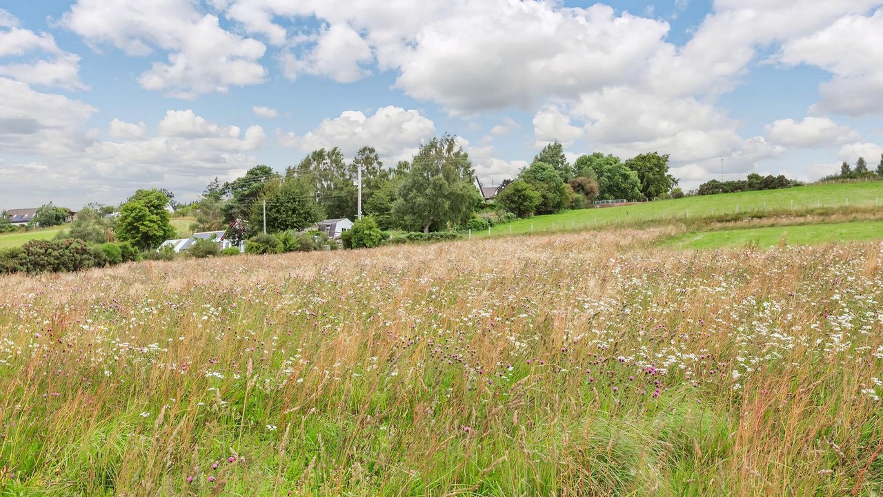 Photo of Others in Heights of Achterneed