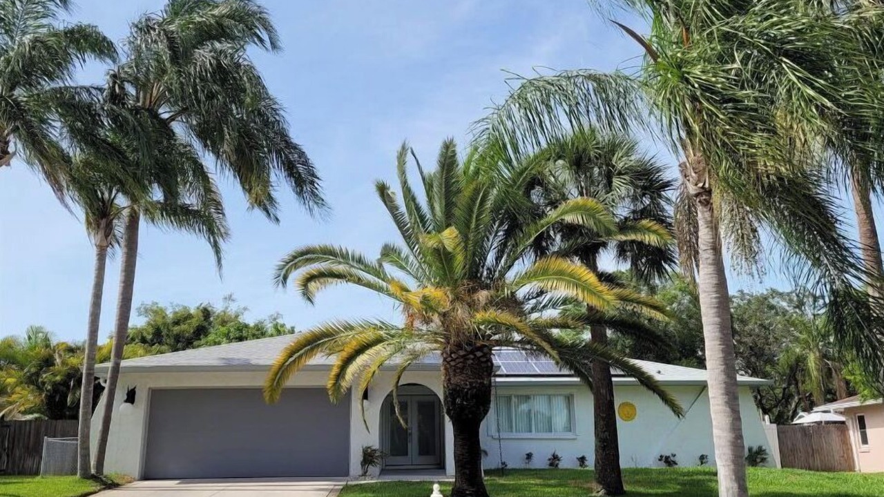 Photo of Outdoor in Palm Harbor