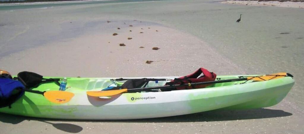 Photo of Others in Palm Harbor