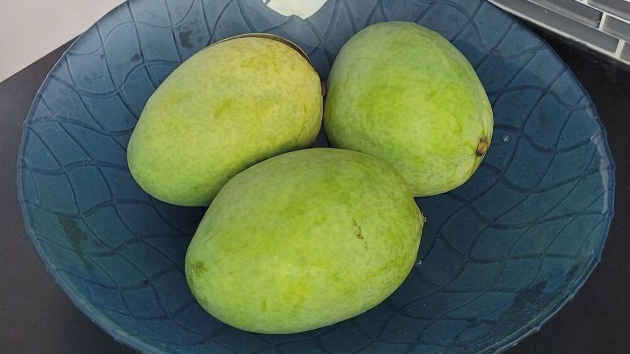 Photo of Others in Palm Harbor