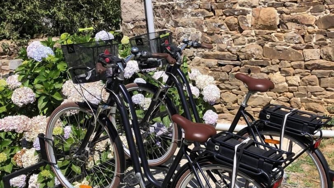 Photo of Outdoor in Plouezec