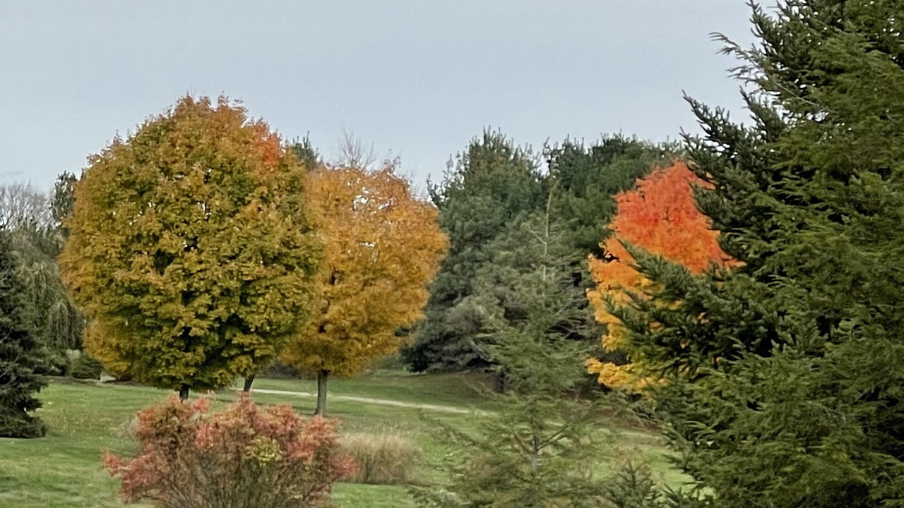 Photo of Others in Mount Liberty
