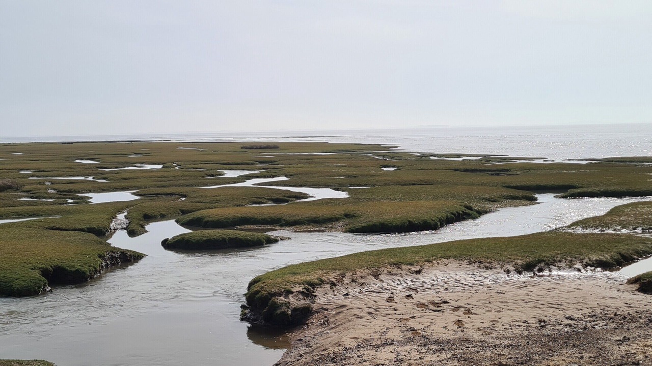 Photo of Others in Morecambe