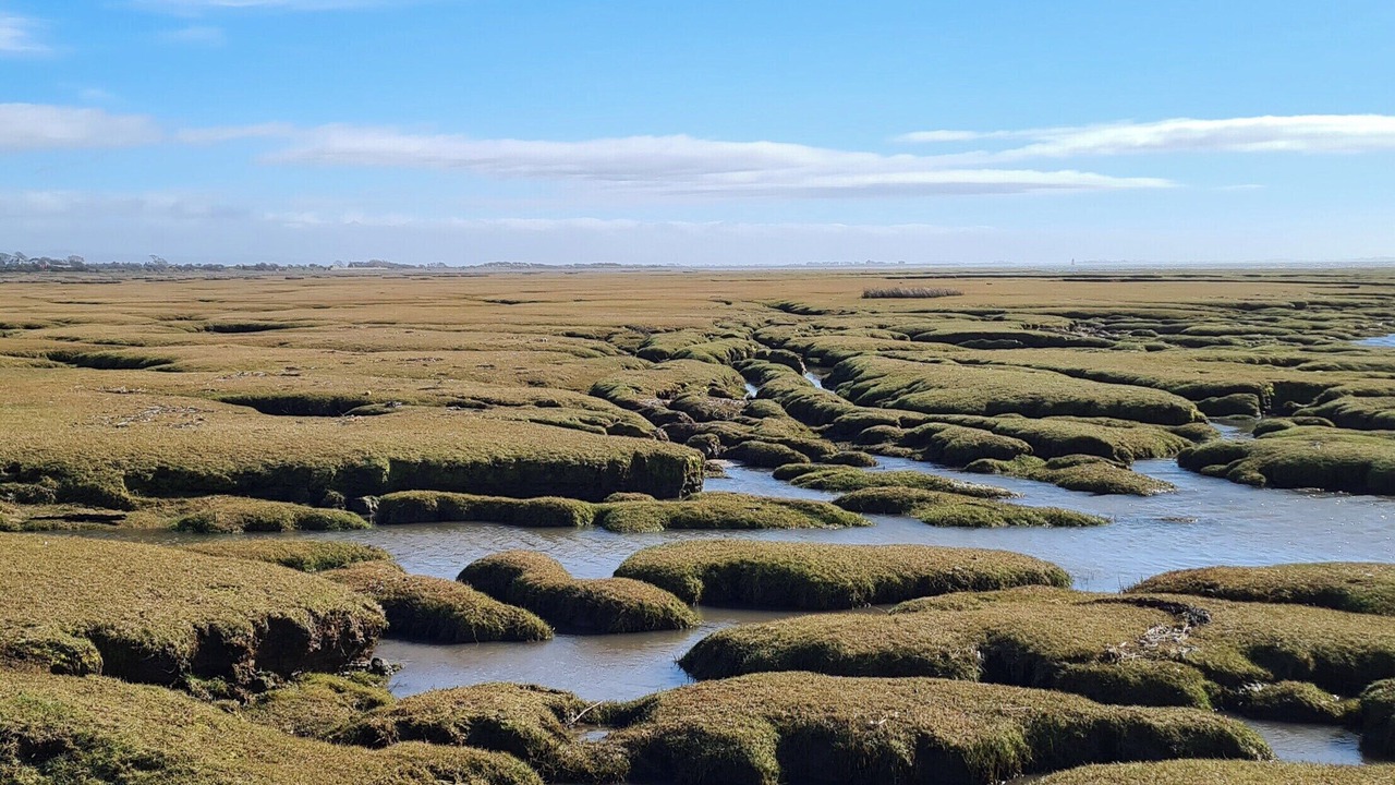Photo of Others in Morecambe