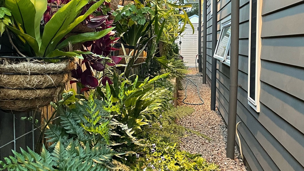 Photo of Others in Kiama