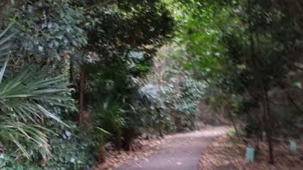 Photo of Others in Kiama