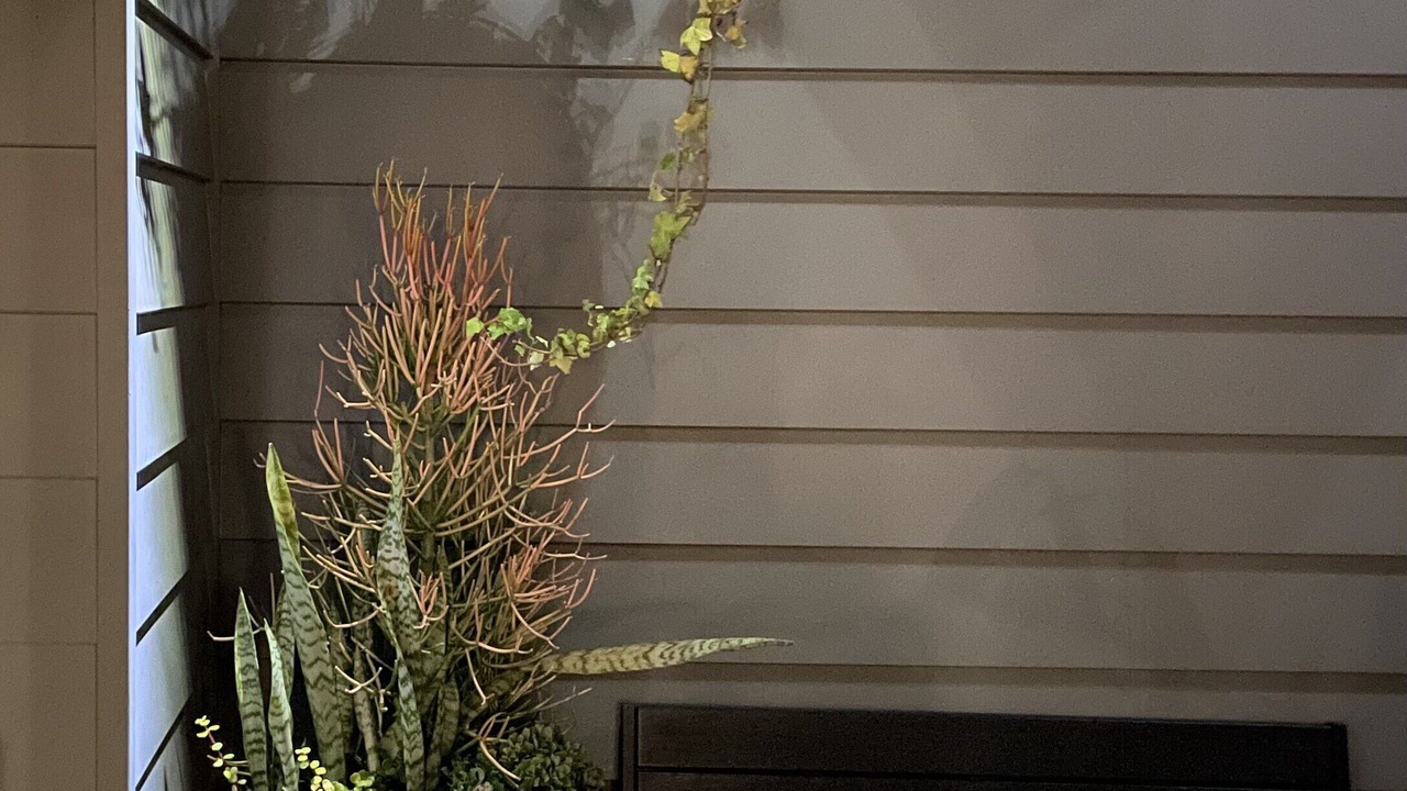 Photo of Others in Kiama