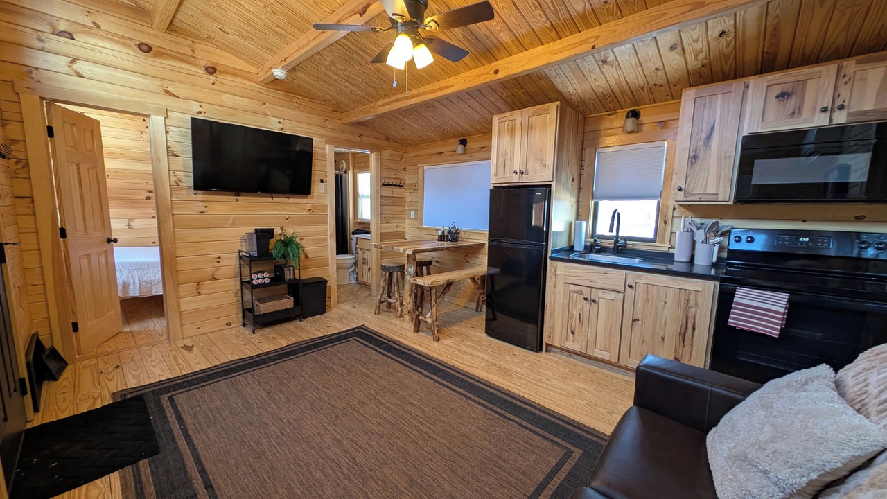 Photo of Livingroom in Last Chance