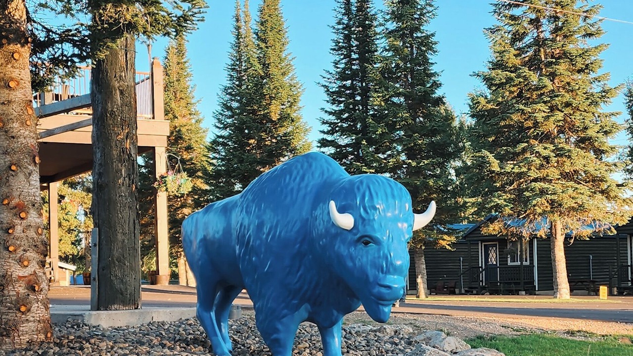 Photo of Outdoor in Last Chance