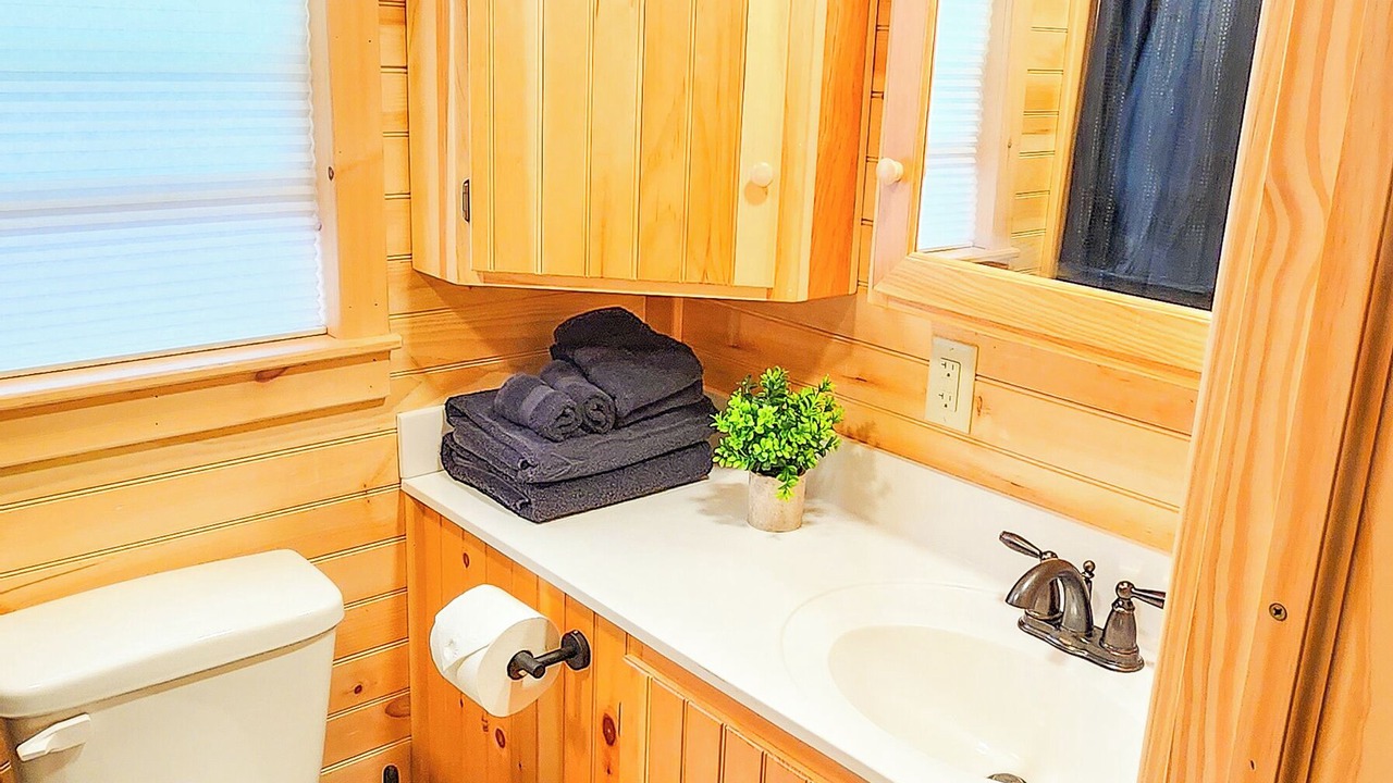 Photo of Bathroom in Last Chance