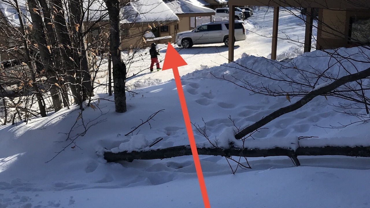 Photo of Others in Ludlow