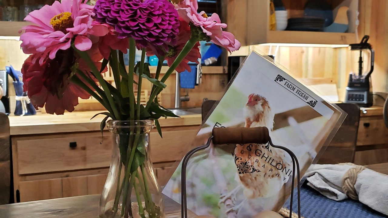 Photo of Kitchen in Norristown