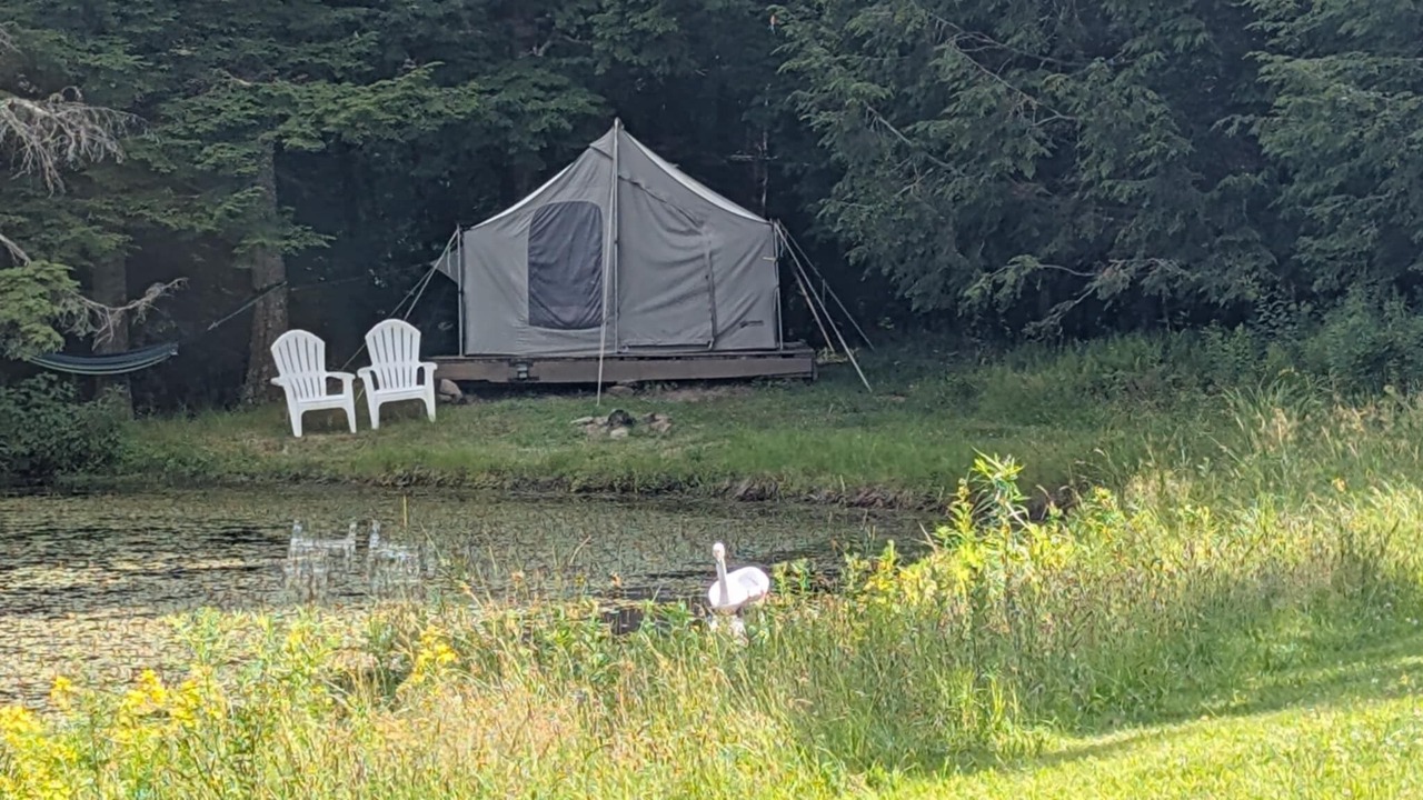 Photo of Others in Parksville