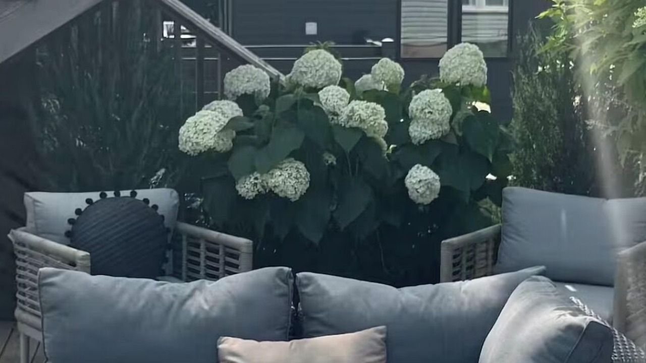 Photo of Patio Balcony in Charlottetown