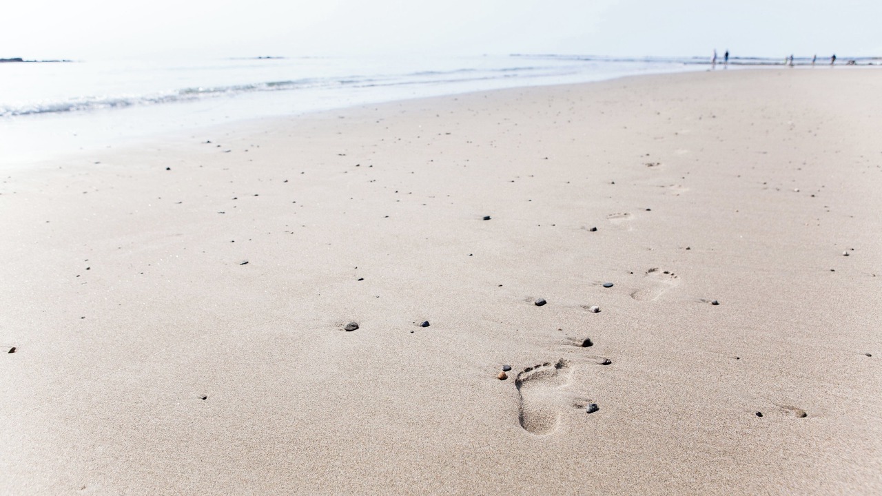 Photo of Others in York Beach