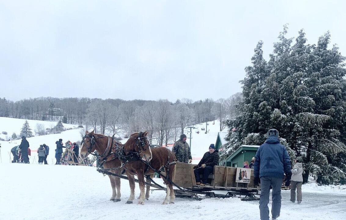 Photo of Others in West Hartford