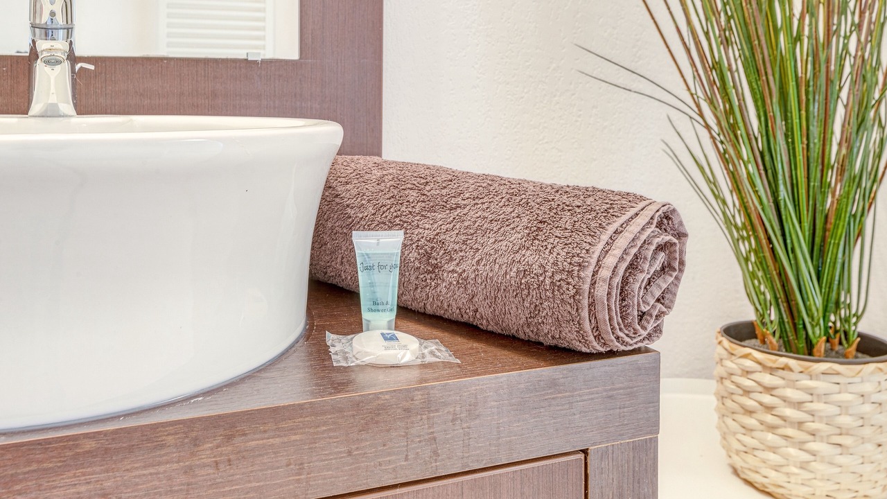 Photo of Bathroom in Rangueil-Sauzelong-Pech David-Pouvourville