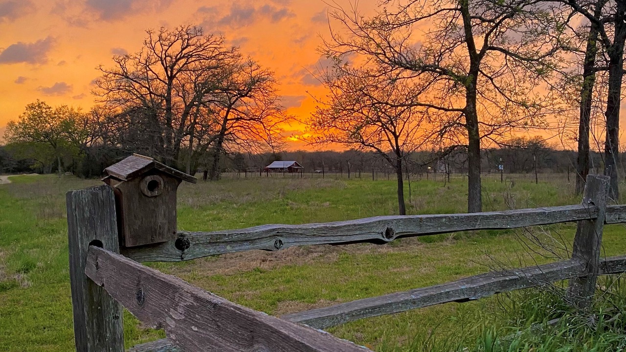 Photo of Outdoor in Lee County