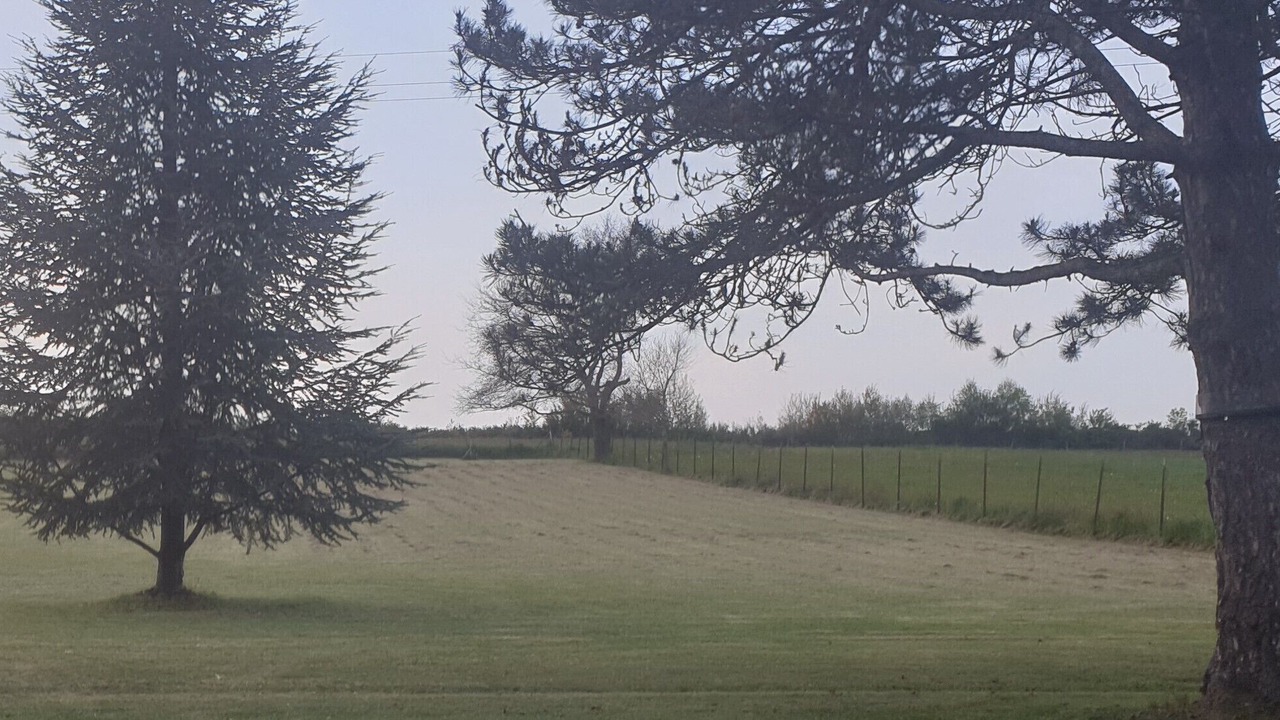 Photo of Others in Montrejeau