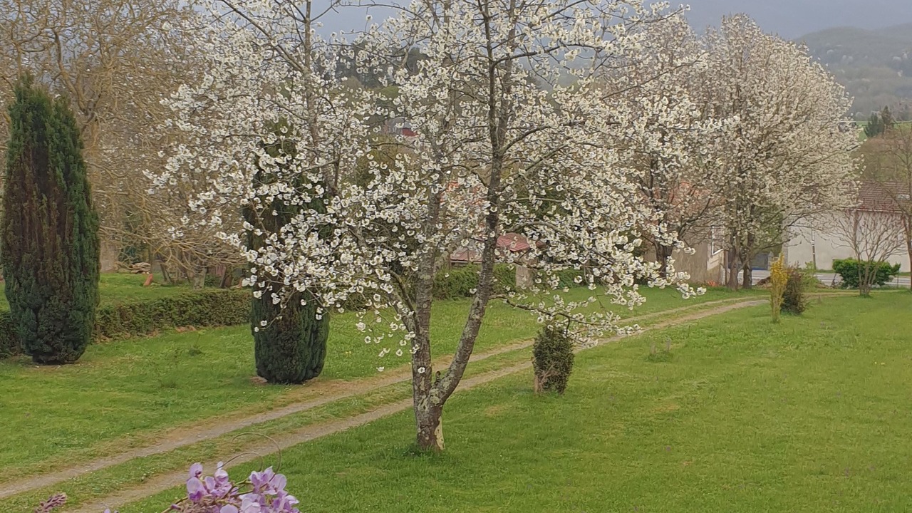 Photo of Outdoor in Montrejeau