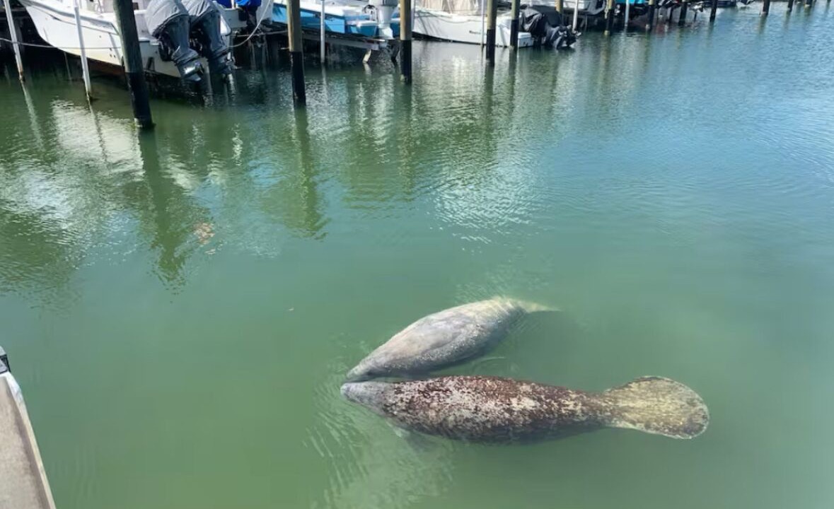 Photo of Others in Rock Harbor