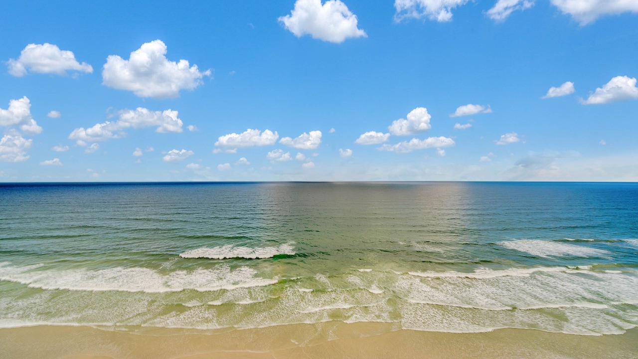 Photo of Others in Daytona Beach Shores