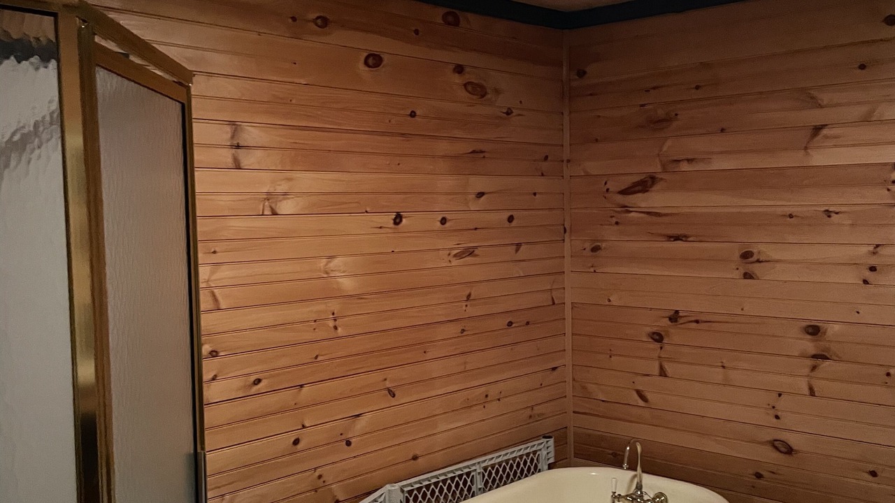 Photo of Bathroom in Golts