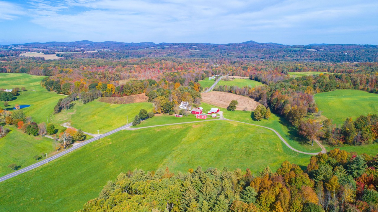 Photo of Others in Johnsonville