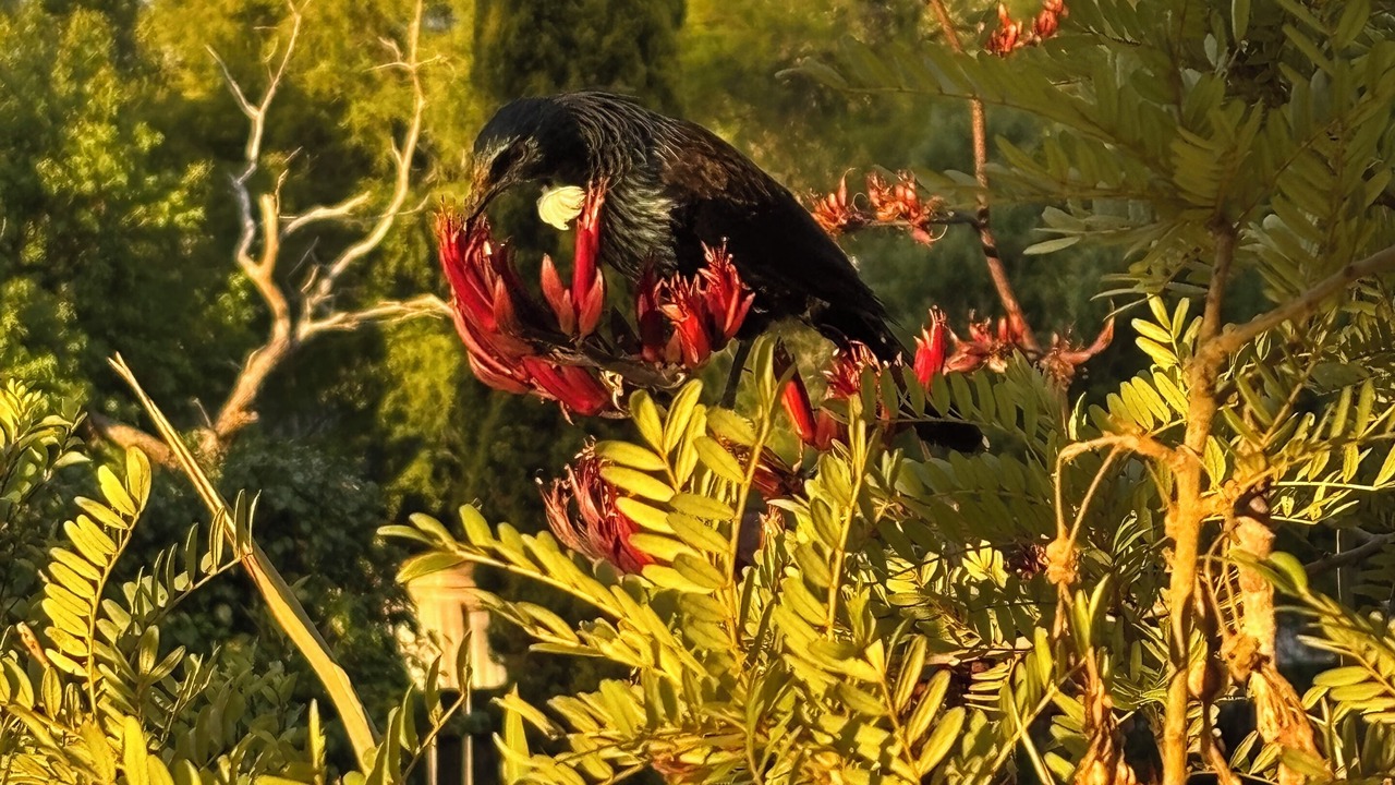 Photo of Others in Raurimu