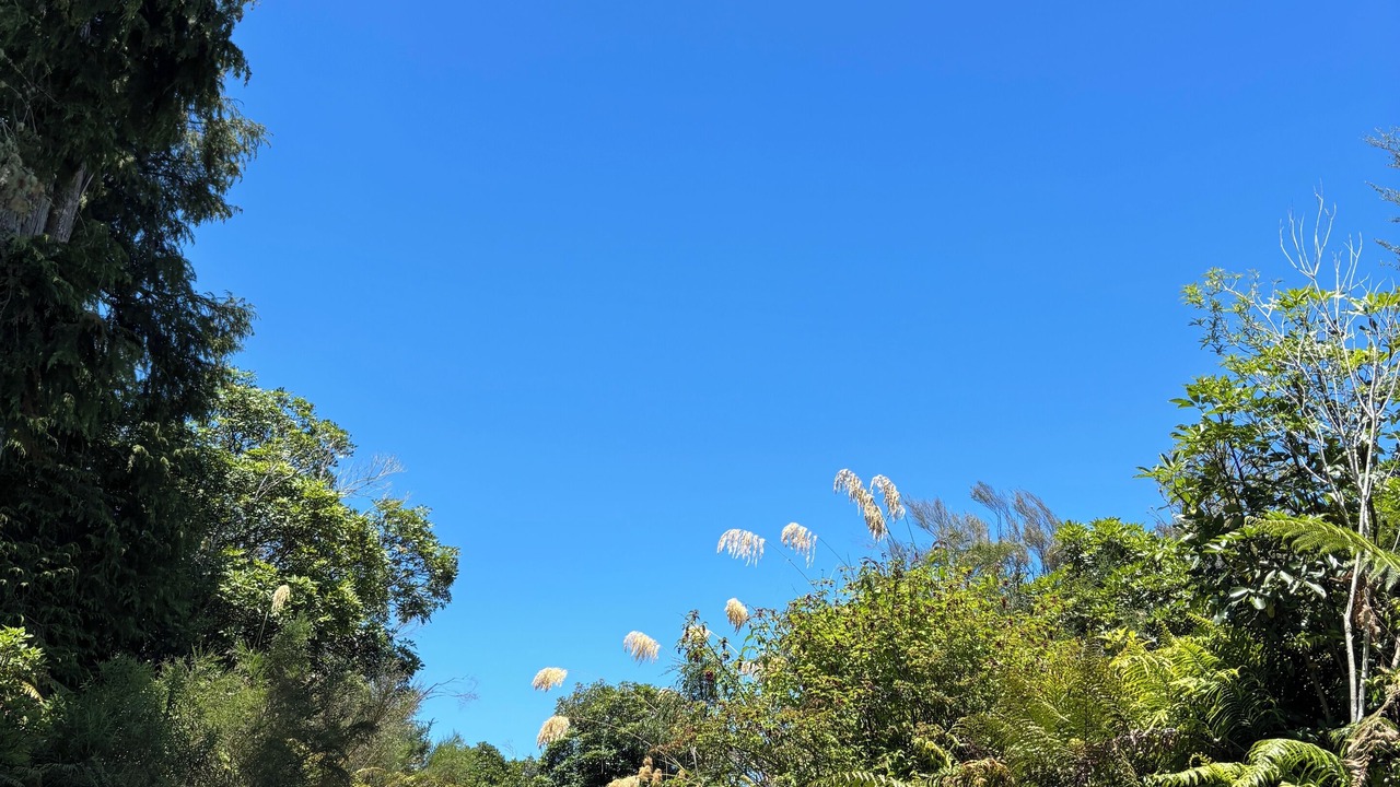 Photo of Others in Raurimu