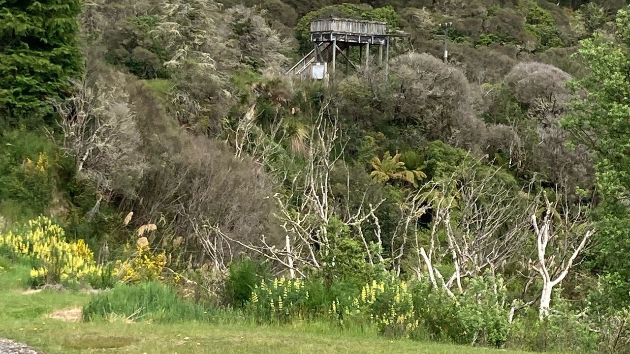 Photo of Outdoor in Raurimu