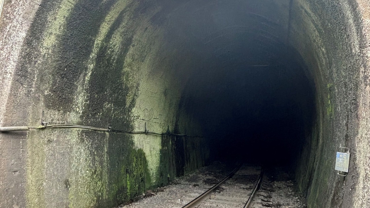 Photo of Others in Raurimu