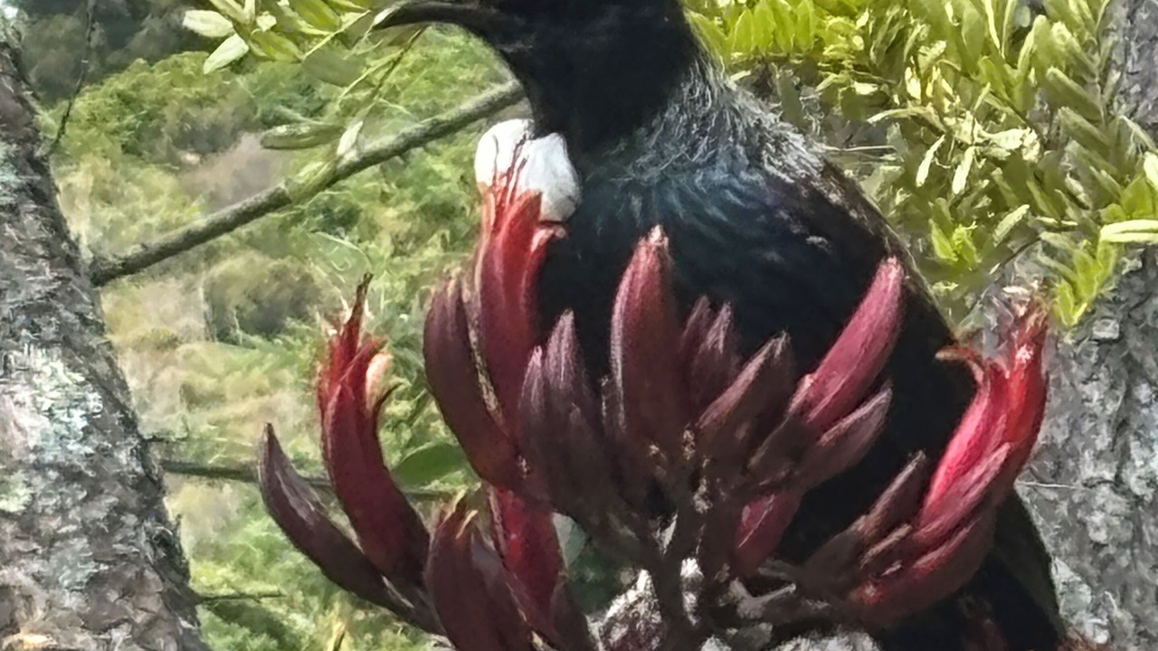 Photo of Others in Raurimu