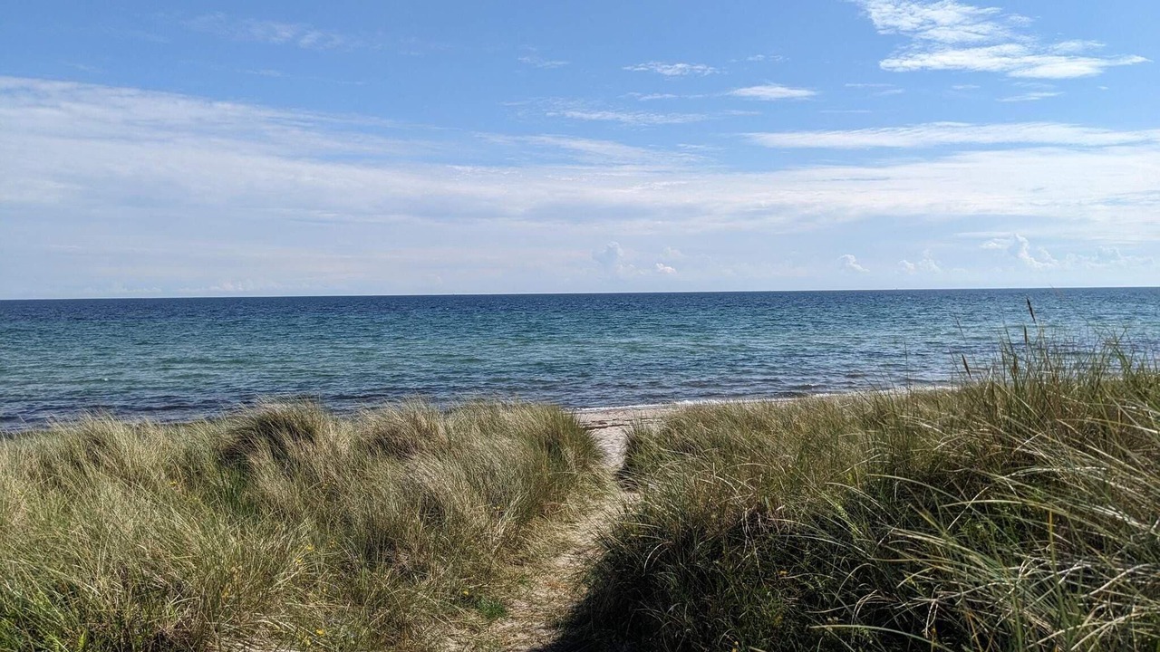 Photo of Others in Bøtø By
