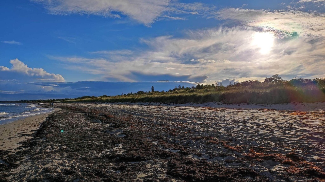Photo of Others in Bøtø By